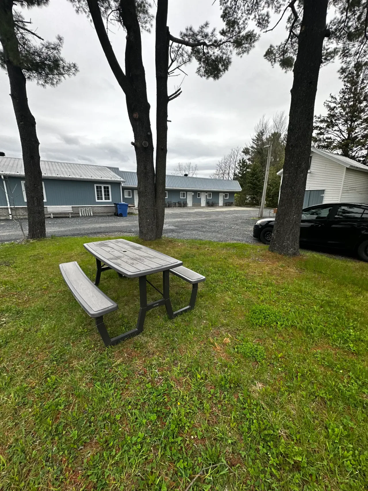 Espace extérieur du Motel Saint-Ours avec tables de pique-nique sous les arbres.